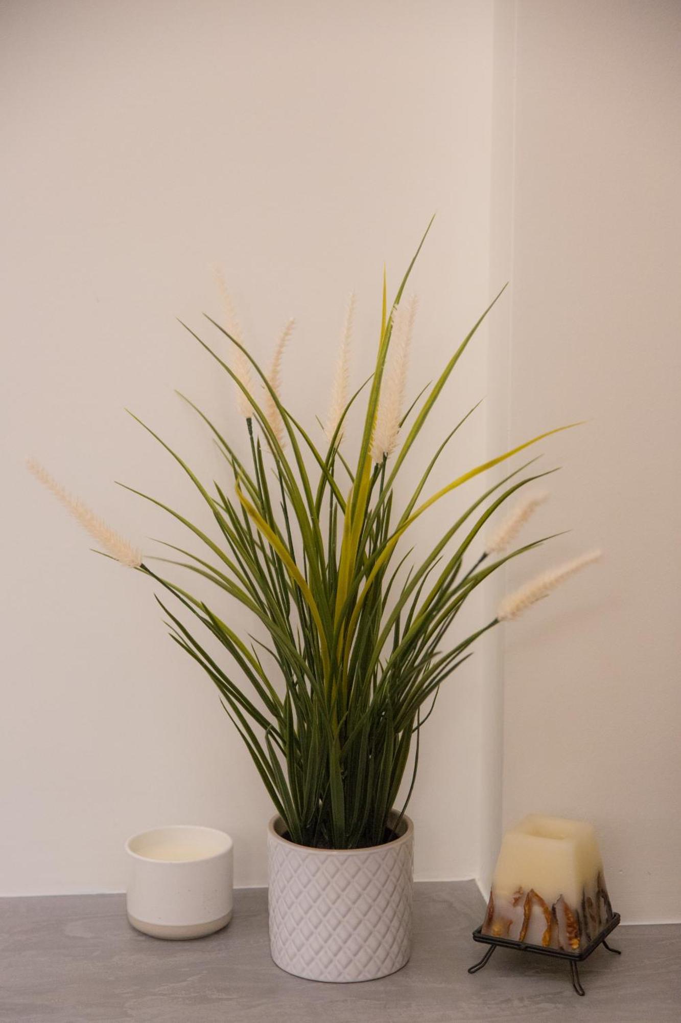 Anasa - With Yard - Center Apartment *